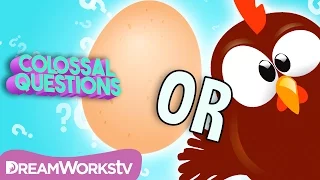 CHICKEN or EGG: Which Came First? | COLOSSAL QUESTIONS