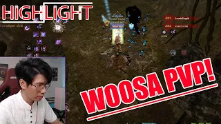 BDO HIGHLIGHT of stream - WOOSA PVP!