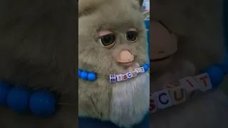 2005 Furby wants to tell a story