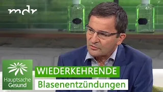 Blasenentzündungen: Alternativen zu Antibiotika | Hauptsache gesund | MDR