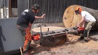 Baumscheibe vom Eichenstamm Ø 155 cm mit Kanadischem Sägewerk