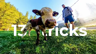 13 creative Insta360 X3 tricks in 3 minutes