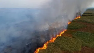 Пожар идет в сторону Кинеля Самарской области 19:30 23 августа