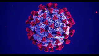 Coronavirus Questions - March 16 , 2020