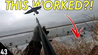 Hunting Ducks (MALLARDS) Out of TUMBLEWEEDS?! | 28 GAUGE Late Season Duck Hunting 2021