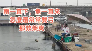 【福壽魚之章-當日上片】雨一直下，魚就會一直咬，還常常釣到雙弓，真的是很爽啊！