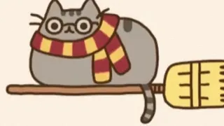 SOLO- pusheen cat version