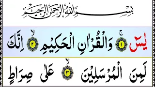 Surah Yasin Full{Surah Yaseen Full HD Arabic Text}{Quran Surat Yasin Recitation}Read Online Quran