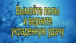 Вымойте полы и верните украденную удачу. | Тайна Жрицы |