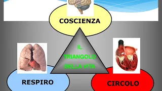 PRIMO SOCCORSO PARTE 1