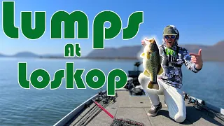 Fishing Loskop Dam For Record Breaking Big Bass (South Africa)