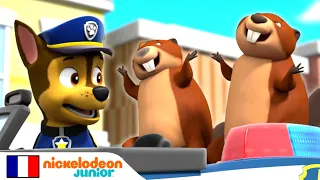 Paw Patrol : La Pat' Patrouille | Des castors en danger | Nick Jr.