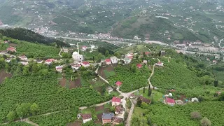 Çağlayan Mahallesi Kendirli Köyü / Trabzon