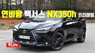 연비왕 렉서스 nx350h 프리미엄 시승기, 2023 LEXUS NX350h AWD test drive, review