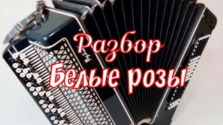 "Ласковый май" /Юрий Шатунов - Белые розы /разбор по нотам