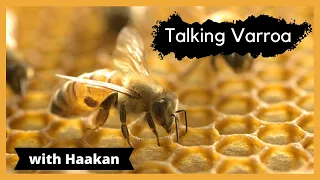 How I learnt to deal with varroa. From a Swede's perspective.