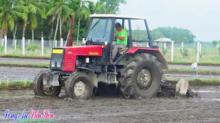 Máy cày Belarus 800 xới ruộng nước Bến Cầu Tây Ninh | MTZ Tractor LADY