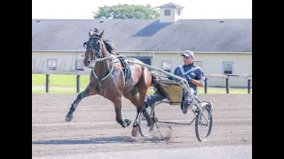 2019 Hambletonian Contenders --  Pilot Discretion