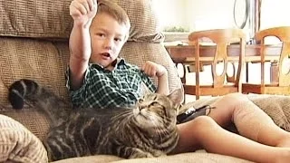 Cat Saves Little Boy From Being Attacked by Neighbor's Dog