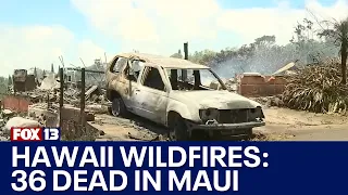 Hawaii wildfires: 36 dead, planes from Maui land in WA
