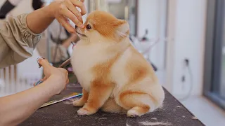 This looks like a cute loaf of bread.