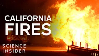 An Expert Explains How To Control Wildfires In California