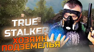 ХОЗЯИН ПОДЗЕМЕЛЬЯ ➖ True Stalker ➖ Серия 8