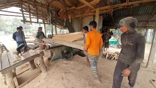 Giant Teak Wood Cutting by Great Craftsmen at Sawmill/Wood Slice Dangerous Skill/Wood Cutting Skill