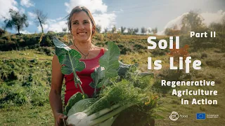 Soil is Life -  part II  - Inspiration from a beautiful Italian Regenerative Farm