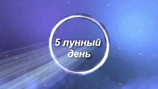 5 лунные сутки