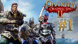 Divinity Original Sin 2 - Parte 1: L'epopea degli Straccioni