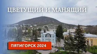 ПЯТИГОРСК 2024/КОГДА ВСЕ ЦВЕТЕТ/НЕОБЫКНОВЕННАЯ КРАСОТА