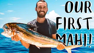Offshore Fishing Mahi Mahi Recipe | Sailing & Dorado Fishing