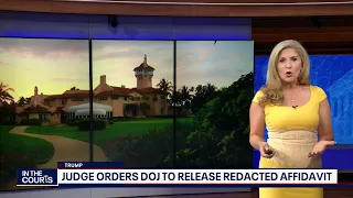 In The Courts: Trump Mar-a-Lago affidavit, election probe, Jan. 6 | FOX 5 DC