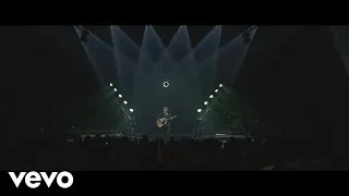 Hubert-Félix Thiéfaine - Des adieux (VIXI Tour XVII au Palais des Sports 2015)