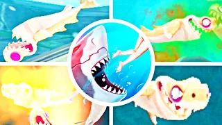 HUNGRY SHARK EVOLUTION - ALL FIN FINN N FINNY ANIMATIONS