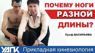 Мануальная ТЕРАПИЯ ТАЗА. Профессор Васильева