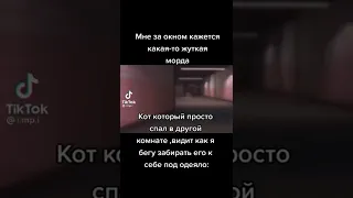 Мемы по ТикТоку #467