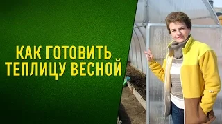 Очень простой способ подготовки теплицы весной. Сидераты. Видео