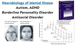Introduction to Neuroscience 2: Lecture 24: Mental Illness Part 2