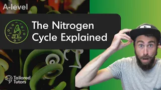 ✔️ The Nitrogen Cycle Explained | A-Level Biology Tutorial | AQA