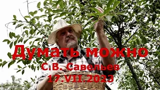 С.В. Савельев - Думать можно