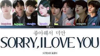 Stray Kids(스트레이 키즈)-NOEASY UNVEIL:TRACK"좋아해서 미안(Sorry, I Love You)" [Color Coded Lyrics Han/Rom/Eng]