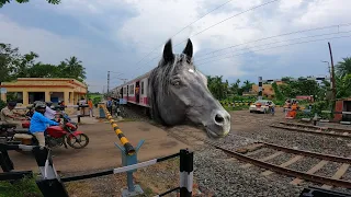 Super Speedy MAD Horse Headed Medha EMU Local Dangerously Moving Throughout Railgate