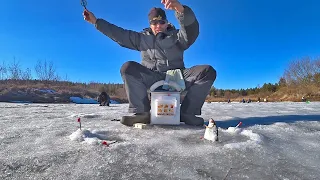 ВОТ это БАТОНЫ!!! Попал на РАЗДАЧУ КРУПНОЙ ПЛОТВЫ со льда!