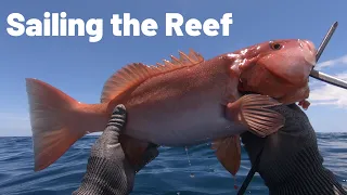 Sailing and Spearfishing the Reef