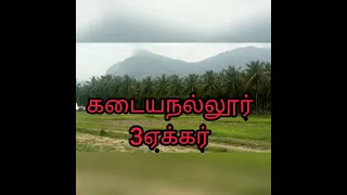 No: 236 * Agricultural land for sale * kadayanallur ( 3 acres)