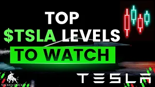 Tesla Stock Analysis | Top Levels and Signals for Tuesday, February 20th, 2024