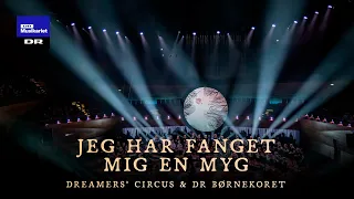 Jeg har fanget mig en myg // Dreamers’ Circus & DR Børnekoret