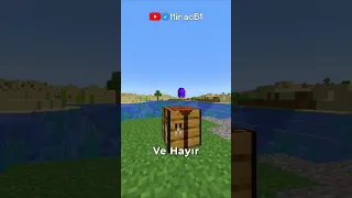 Minecraft'taki EN GÜÇLÜ Zırh Nedir? 🛡️